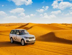 Ultra Luxury Desert Safari, Wildlife Tour & Fine Dining